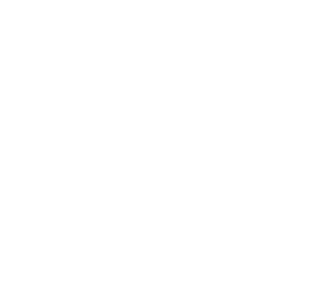 NIC Logo-Final-full-white